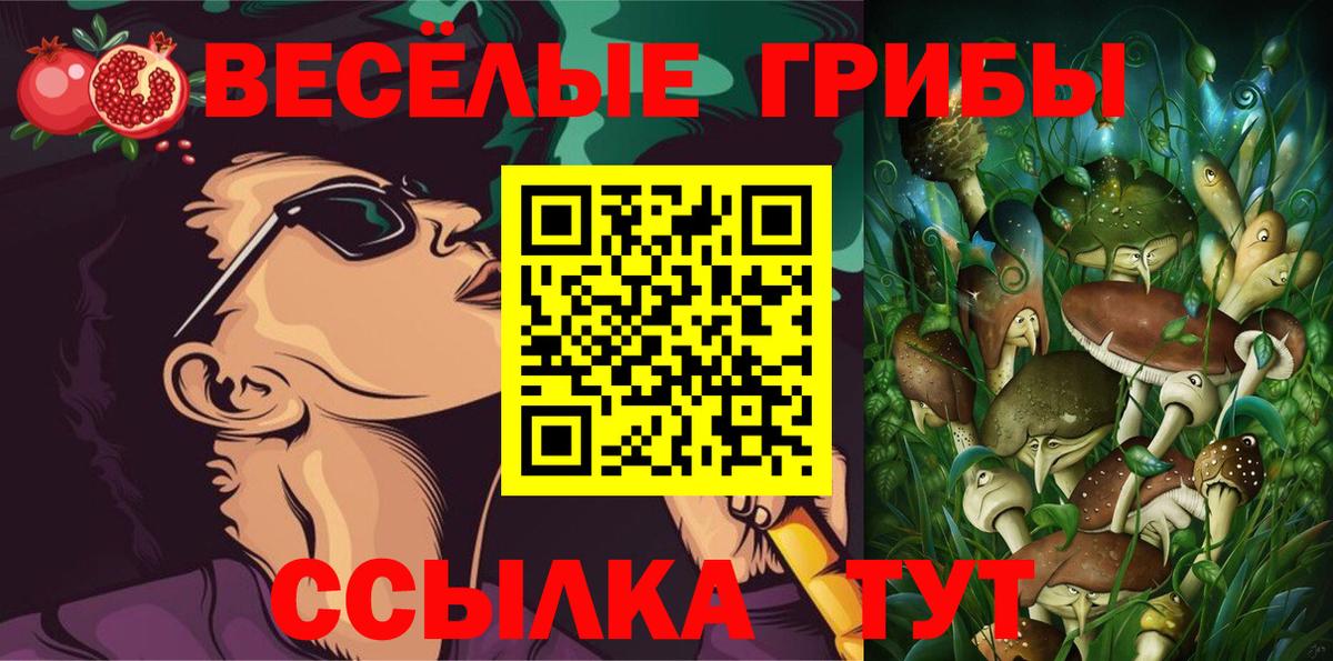 Галлюциногенные грибы мицелий Ивантеевка
