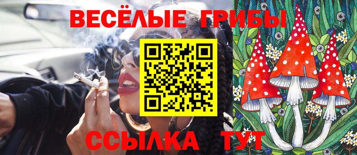 Галлюциногенные грибы Psilocybe  Псилоцибиновые грибы ЛСД  Ивантеевка  Вход с VPN 